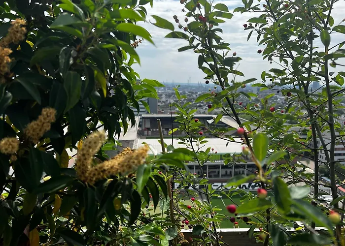 Reverb By Hard Rock Hamburg